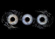 2025-07-29/ecb700f7-1984-436e-894c-a157421f85b1