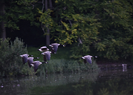 2025-07-30/96553c55-4da4-4b04-b752-379211ea6a97