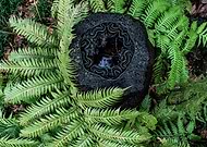 2025-07-31/0eacc99e-65d8-4895-96ba-9bc034455652