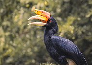 2025-08-01/47af231c-e893-4586-9b4d-ef6f4bb7d81a