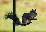 2025-08-01/59dad806-aab0-4207-b555-08736309e2a4