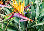 2025-08-03/4867d547-b9b6-4d50-9682-60b436641f10