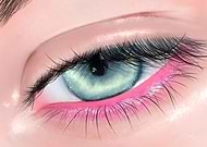 2025-08-03/6b4f0085-670c-4a33-af4e-f8887abb3ffe