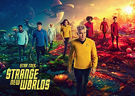 collection-preview-1