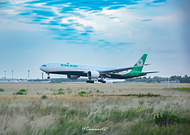 2025-08-11/37de2eee-841d-45c8-986f-38cfdb816d80