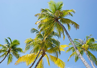 2025-08-11/73a57b9f-0303-46ee-a128-ee0d8a73d95c