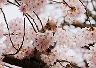 2025-08-11/94be637b-c721-4797-9281-5d68594166de