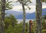 2025-08-16/5aa1e460-35e2-4f1f-9ebe-b5742b578707