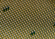 2025-08-18/c014a95d-e744-4b16-b97d-ae4d8aa2c8e4