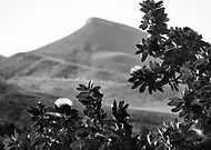 2025-08-20/c390e991-1d10-47c2-885b-e02aee29dac7