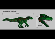 2025-08-21/2713c0ac-429f-452f-afce-36d5ac83fb4f