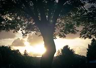 2025-08-21/5d4ef26d-d9c1-4770-9857-b00daf995c07