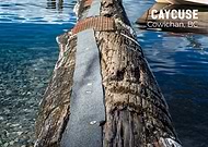 2025-08-21/9c9e2975-c44f-4f9e-91c0-caa543727687