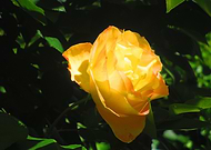 2025-08-31/b8678a83-1bcd-40e3-bb3b-9a9cd6524e30