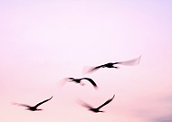 2025-09-01/0013702f-9954-4167-9d2b-a8ba4f163d99