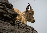 2025-09-02/25201ee5-56f0-4892-849a-6a2e47ce75cb