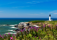 2025-09-06/f53ccd4d-a346-4518-aaf4-65068ecc90d5