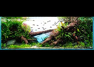 2025-09-15/26fae651-0714-4f66-b513-f4bb6a5f5798