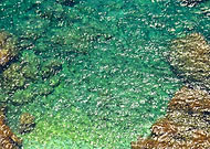 2025-09-15/359bc8d5-c72e-4586-a508-f8d3eb9b4fa4