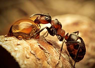 2025-09-15/f5c5bb6a-f2b8-498c-9915-c1516a5d4f4e