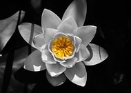 2025-09-25/053ade7a-ff7b-4643-898d-1f3cc36d3ee9