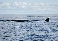 2025-09-26/32357612-3b3d-41db-9a66-1d968192b17b