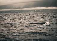 2025-09-26/961fa1c7-ead3-417b-896a-0bcff09ed32c