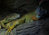 2025-10-05/cbda8287-d03e-4bb0-825a-e5d8dea11a52