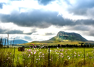 2025-10-06/1c109b31-0ffb-478c-b238-1aa6b64a2ec1