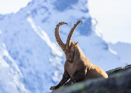 2025-10-08/1b8399e5-d4a6-40f1-b4b2-e43377e1c59c