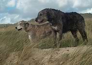 2025-10-09/4fda103c-e661-47e9-a635-7c6901345fe2