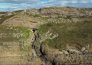 2025-10-09/64159d91-8569-4a34-ad0a-9d5b3ca531de