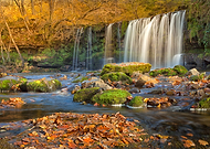 2025-10-11/f928a4b5-62d9-4a94-8079-93cabcc64247