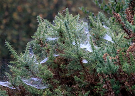 2025-10-13/0d5fea91-da04-49f0-87ef-a7c8446d3533