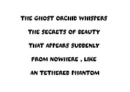 2025-10-13/bfe511dc-bfec-4a96-8cb1-dc1a77dcb2aa