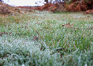 2025-10-13/c78f533d-0869-4e61-b051-6b2523d10591