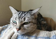 2025-10-14/5955ee68-85ba-45e1-bb28-90ac194547ee