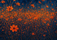 2025-10-18/dbad865b-a0d6-4811-8f64-546e7673959c