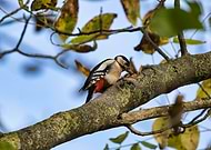 2025-10-20/1e4a7f92-e980-491a-9a8d-a77d85f3cd97