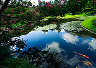 2025-10-21/e8eda442-8b09-447a-8b98-8ab859ffe15f