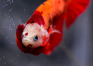 2025-10-22/3565daca-b88d-4bc9-8ae1-33176cf913cc