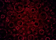 2025-10-24/a813abad-54cd-4462-96c2-12bff7ec00ce