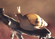 2025-10-29/d27ec170-ac6e-4067-8fd9-e4a273bee0b4