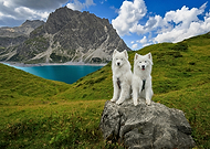 2025-10-30/ee25014f-3338-4ea5-aa64-d5fe772fe9fc