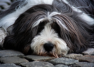 2025-11-02/15f71078-864e-4bb3-9baa-9e2d1b0d9ce5