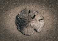 2025-11-03/9de36a09-d619-45fc-a6d1-7938b487e376