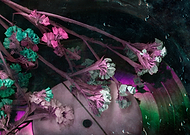 2025-11-06/0ab17951-818a-42bb-a7cd-378ebb69fbad