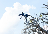 2025-11-08/162ab985-e227-4cb1-a851-d3bdc6a58699