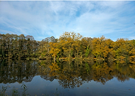 2025-11-08/a4e13888-96fd-4656-92f7-6d321fbc1748