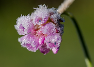 2025-11-13/5877d7d8-a087-42c2-a8da-a49d4437d7dd